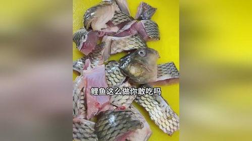吃瓜娱乐小鲤鱼视频,趣味视频引网友热议