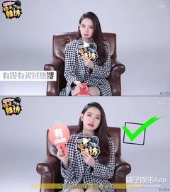 谁是卧底娱乐圈,娱乐圈卧底大揭秘